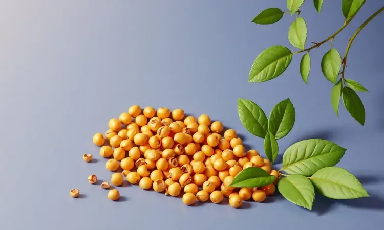 Grão-de-bico crocante em formato de coração com elementos verdes suaves, simbolizando benefícios nutricionais e saúde.
